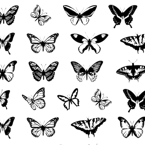 Tiny Butterfly Temporary Tattoo set of 3 | Etsy
