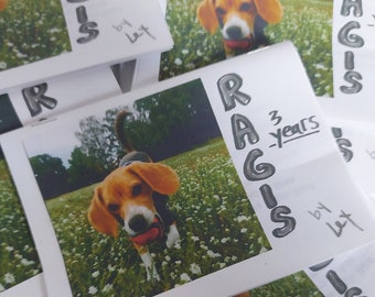 Ragis 3 years - zine about survivor of animal testing