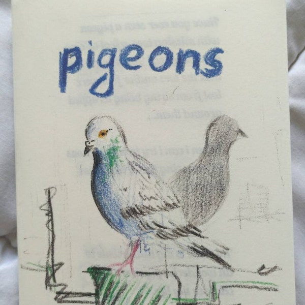 Pigeons : zine