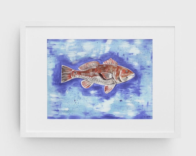 Redfish  | Premium Matte Horizontal Print | Various Sizes