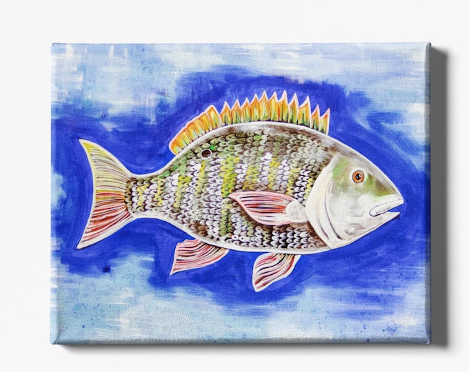 Mutton Snapper  | Canvas Gallery Wraps | Various Sizes