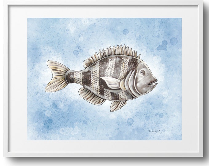 Sheepshead, Nautical Fish Fine Art Decor on Paper, Canvas, or Framed Canvas Print, Various Sizes, Black White Fish, Gift For Dad