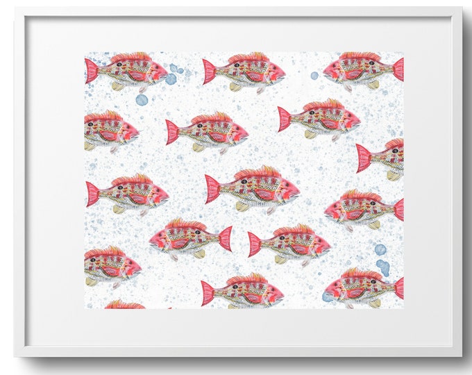 Lane Snapper, Nautical Fish Fine Art Decor on Paper, Canvas, or Framed Canvas Print, Various Sizes, Colorful Fish, Gift For Dad