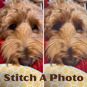 Convert a Photo to Cross Stitch Pattern PDF Download