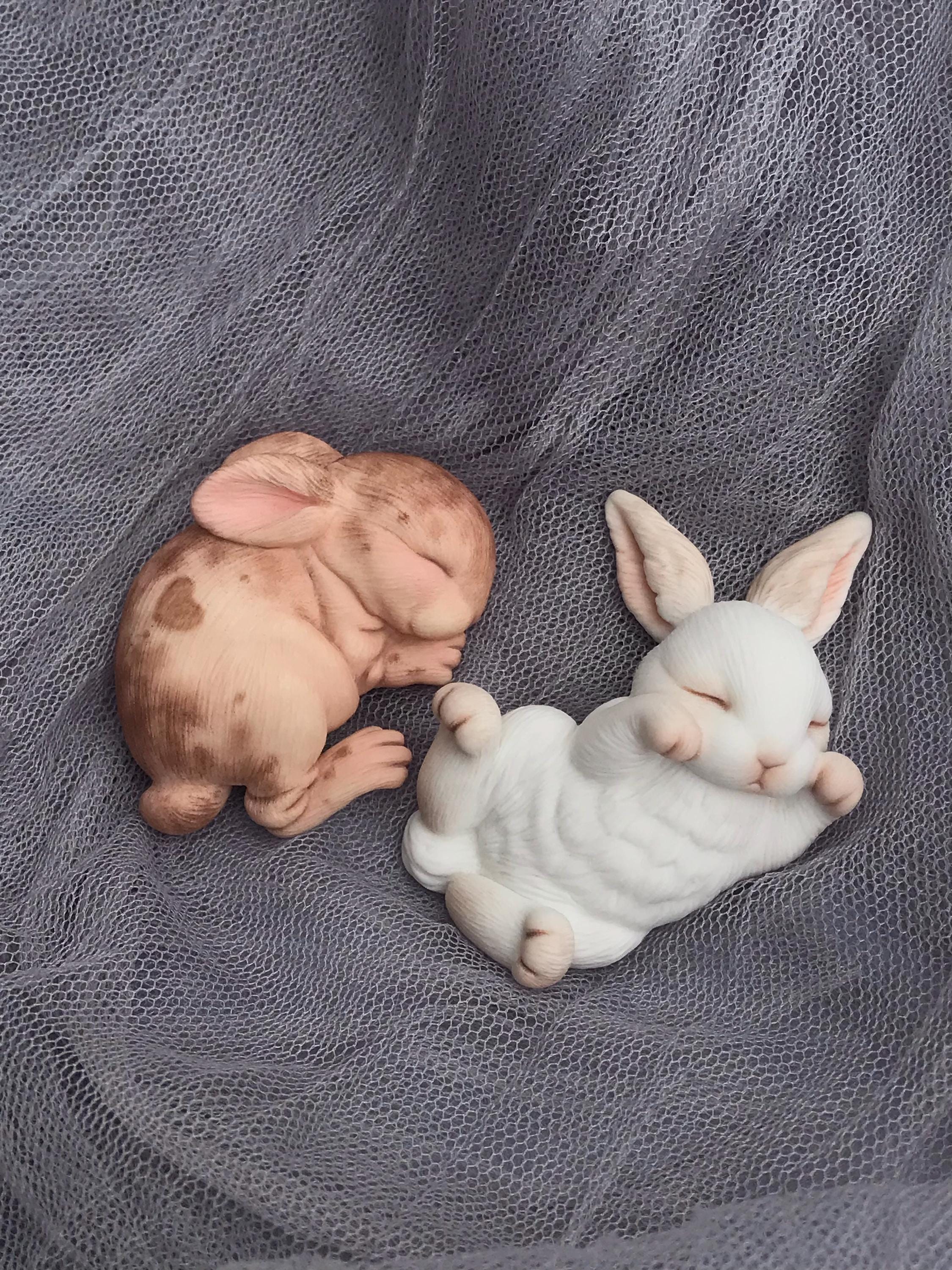 Sleeping Bunny Rabbit Dreamy Cabochon