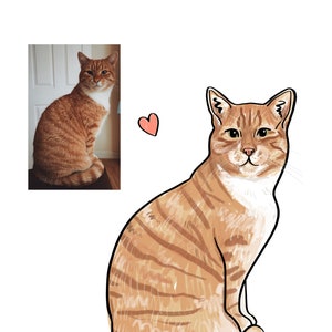 Cartoon Pet Glamour shots / DIGITALE portretten