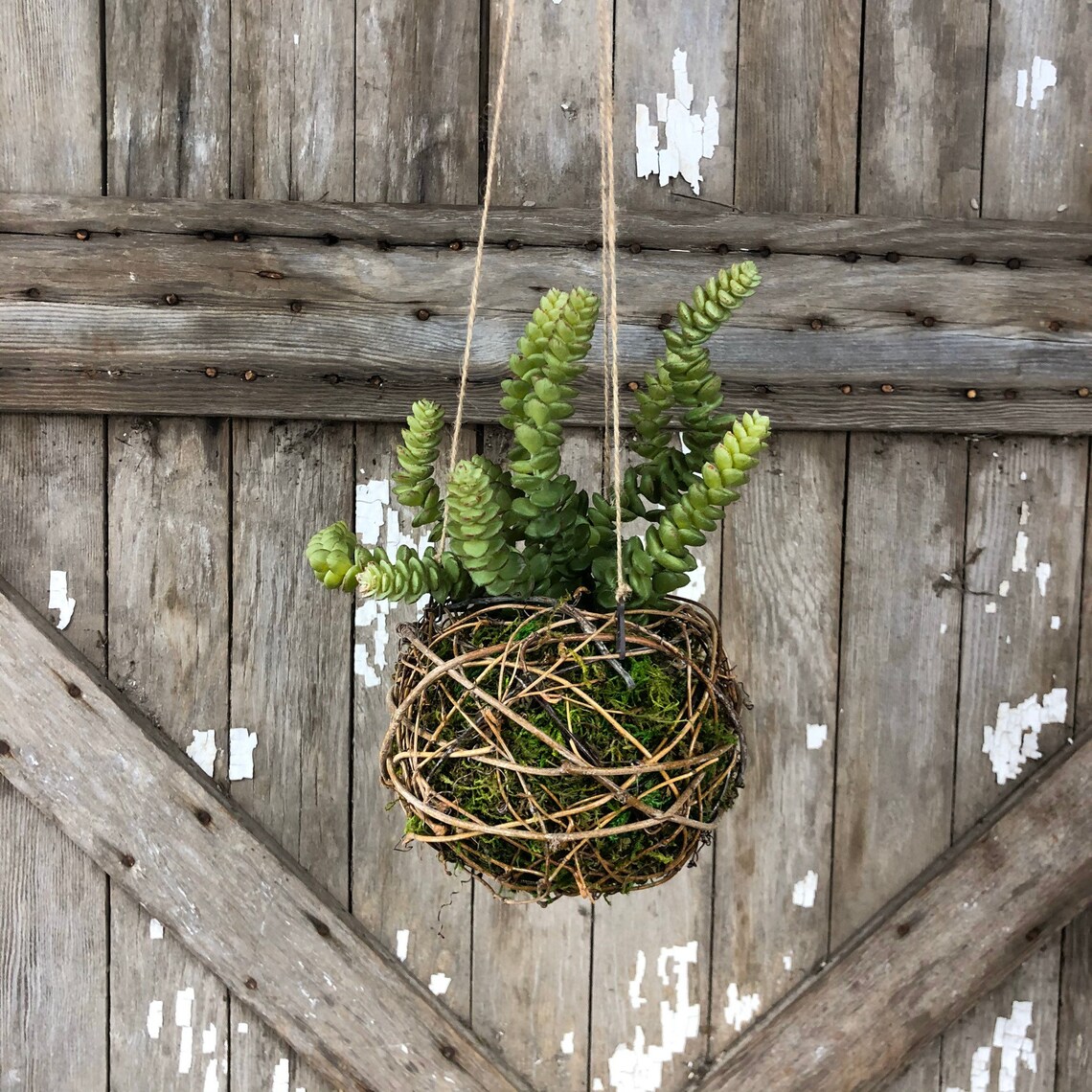 Kokedama Hanging Moss Ball Planter Etsy
