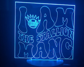 Ween stallion night light