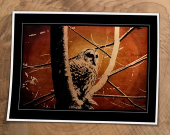 Barred Owl Art Print | Wood Stain Effect, Wildlife Decor
