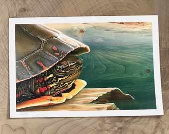 Painted Turtle Premium Art Print | Original Nature Painting Print | Wildlife Art | 6x9 | 8x12