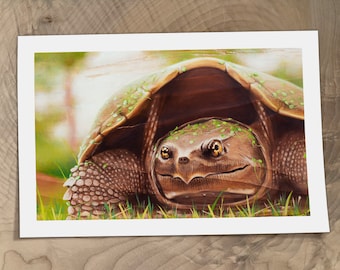 Snapping Turtle Premium Art Print | Original Nature Painting Print | Wildlife Art | 6x9 | 8x12