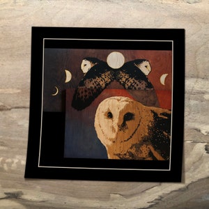 Barn Owl Moon Phases Premium Art Print | Original Art | Owl Gift | Wildlife Print | 8x8