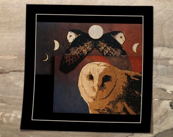 Barn Owl Moon Phases Premium Art Print | Original Art | Owl Gift | Wildlife Print | 8x8