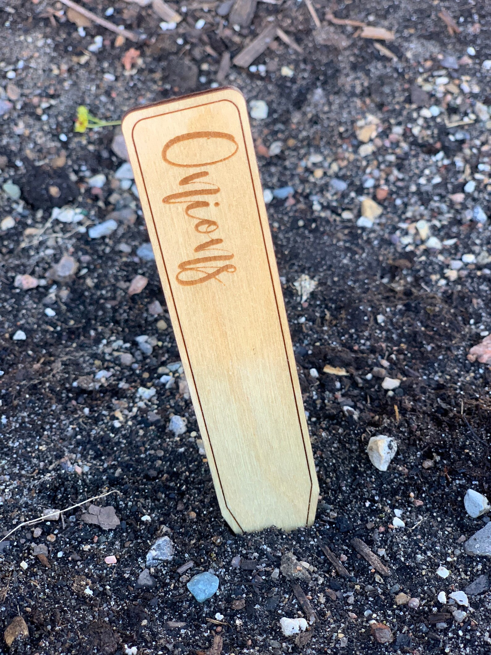 Wooden Engraved Plant Markers Etsy