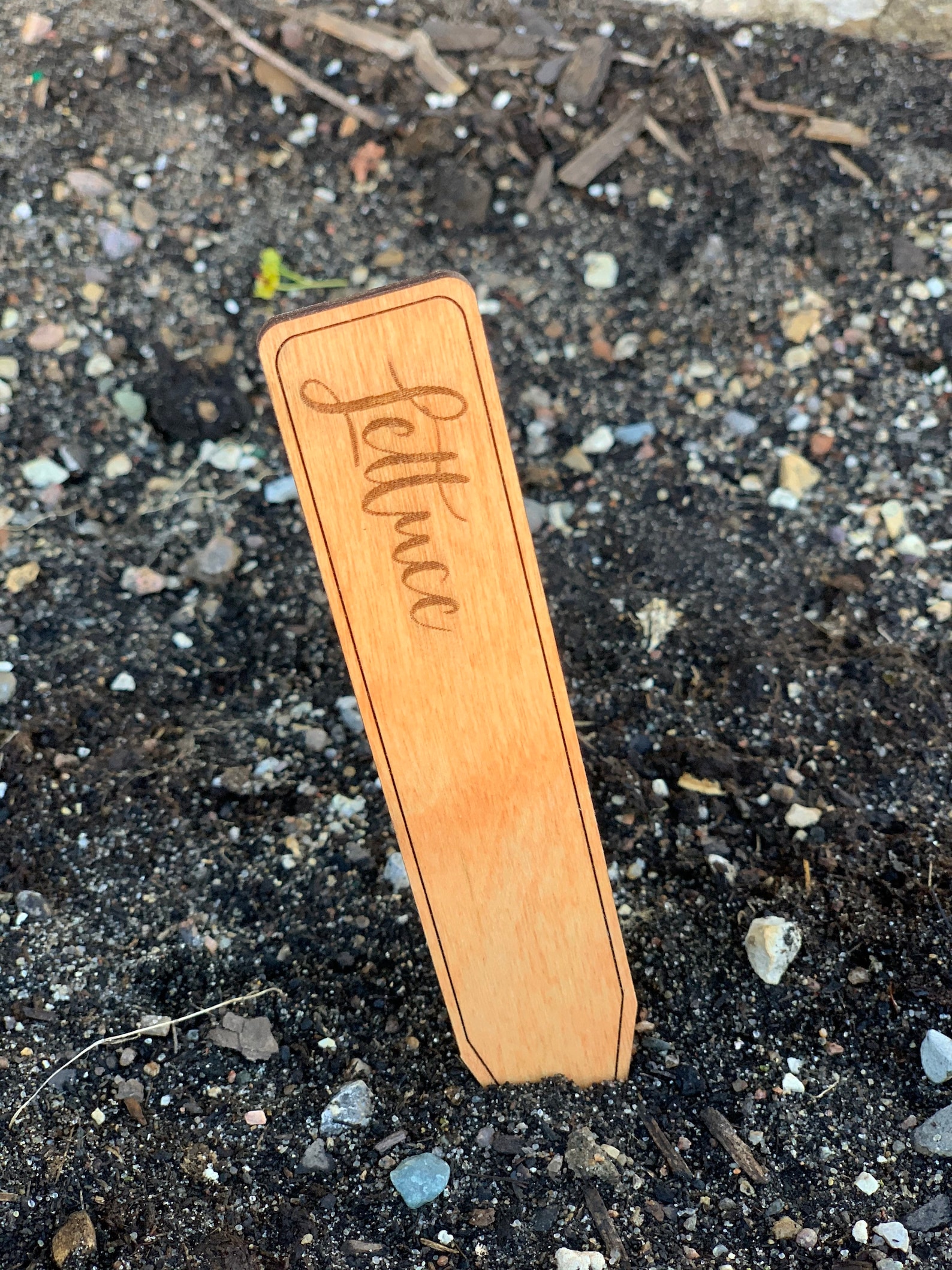 Wooden Engraved Plant Markers Etsy
