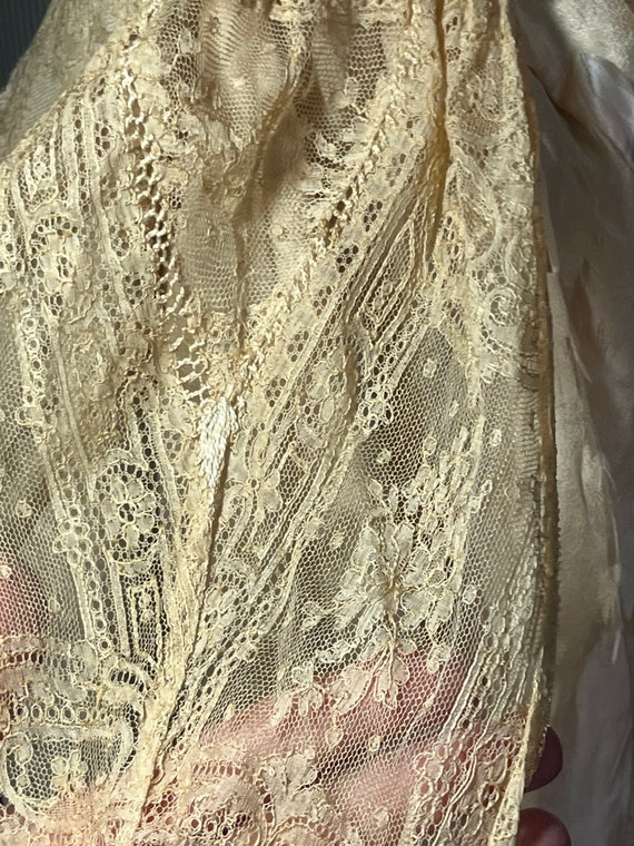 Exquisite Tea Gown - image 8