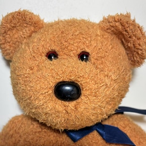 Fuzz the Beanie Baby Bear Ty Beanie Baby 1998 Retired Collectible Plush