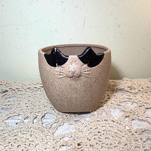 May include: A tan ceramic cat-shaped planter with black ears and a pink nose. The planter has a speckled texture and a wide opening. The cat face is a whimsical design element, suitable for small plants or succulents.
