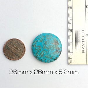 Kingman Turquoise round cabochon cab gemstone