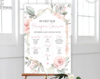 Printable Birthday Milestone Board Template, Editable Baby Birthday Milestone Sign, Blush Pink Floral, Fully Editable, Corjl BPF01