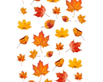 Autumn Leaf Stickers Etsy
