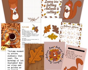 Nuts About Autumn Journal Card Pack TWO