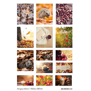 Amazing Autumn Planner Box Photography Stickers 005