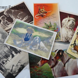 Antique dog postcard x 7