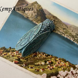 Alte Zikade als Anhänger