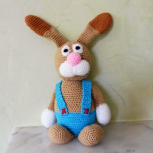 Rabbit Willi image 4