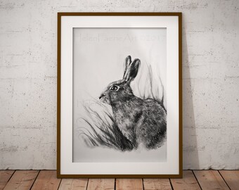 Hare Art Print - Wildlife Wall Decor - Greeting Card - Animal Illustration - Ready to Frame - Woodland Creatures - Pencil Drawing Poster