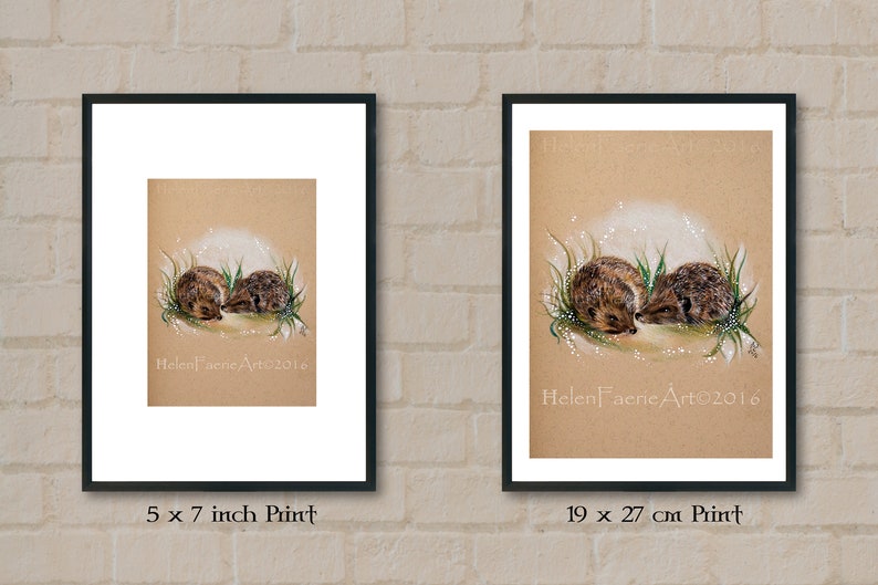 Hedgehog Wall Art Print Wild Animal Woodland Home Decor Nature Lover Gifts Ready to Frame Handmade Greeting Card Nursery Poster image 2