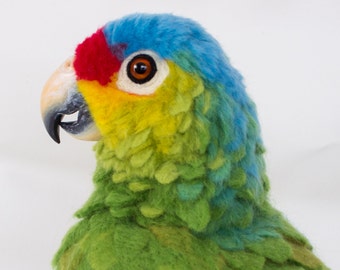 READY TO SHIP Rico the Red-Lored Amazon Parrot: Needle felted animal sculpture