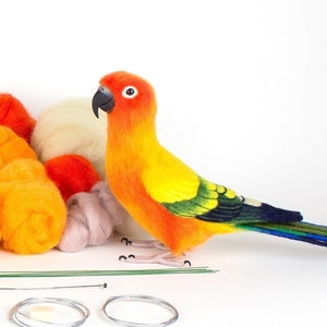 May include: A needle felting kit to create a Sun Conure parrot. The kit includes a variety of colored wool, felting needles, a wire armature, and instructions. The kit also includes a small booklet with the title "The Wonders of Needle Felting Sun Conure" and "Felting Tutorial".