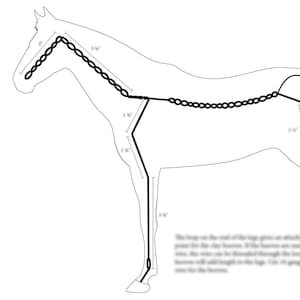 Puede incluir: Un dibujo en blanco y negro de un caballo con un bozal de cadena y una cuerda de plomo. La cadena se mide en pulgadas. La imagen incluye el texto "PELVIS: TOP VIEW" y un diagrama del bozal de cadena.
