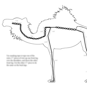 Armature Guide: Camel