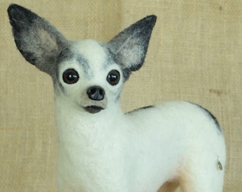 May include: A white and black chihuahua with large, dark eyes. The chihuahua is standing on a brown burlap background.