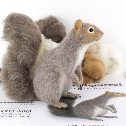 KIT SOLLY the SQUIRREL Needle Felting Kit Needle Felted Etsy