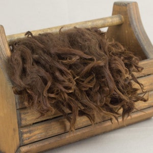 Washed Brown Suri Alpaca Locks: 1 ounce (Klara) Fiber for Felting, Spinning or Doll Hair