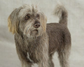 May include: A brown and gray wirehaired dog with a white patch on its chest stands on a beige textured surface. The dog has a long snout and a bushy tail.