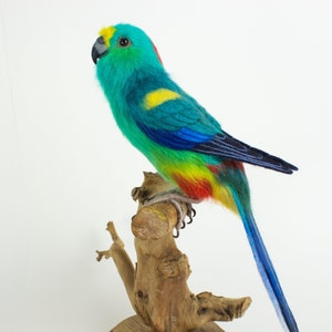 Made to Order Needle Felted Mulga Parrot: Custom needle felted animal sculpture