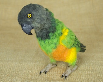 Made to Order Needle Felted Senegal Parrot: Custom needle felted animal sculpture