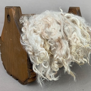 1 oz Washed Beige Suri Alpaca Locks: (Diamond Crown) Fiber for Felting, Spinning or Doll Hair