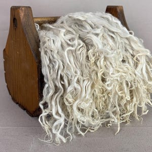1 oz Washed Beige Suri Alpaca Locks: (Paquet’s Cria) Fiber for Felting, Spinning or Doll Hair