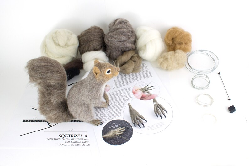 Needle Felted Squirrel Kit and Tutorial Etsy