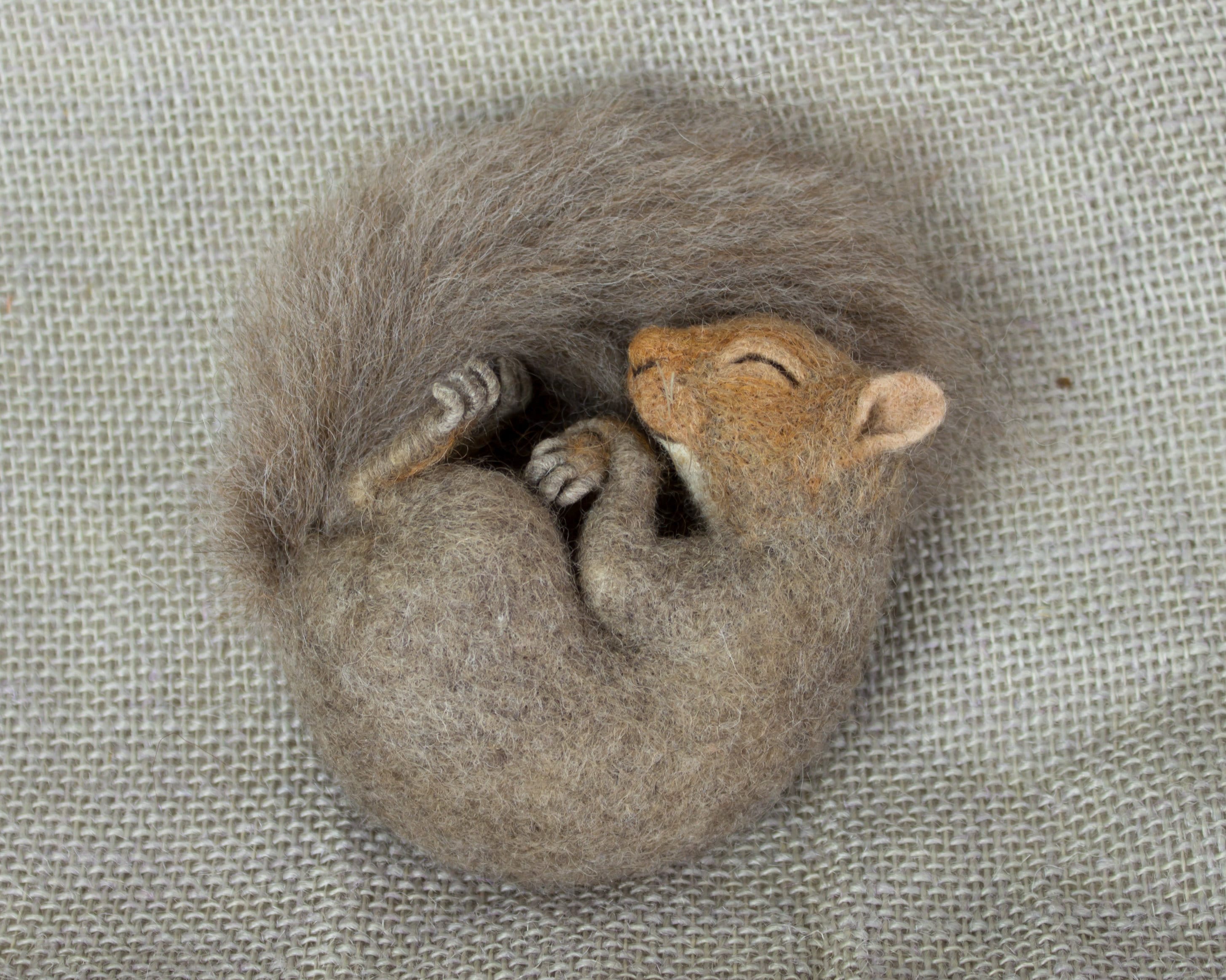 Made to Order Needle Felted Mini Sleeping Squirrel Custom Etsy Australia