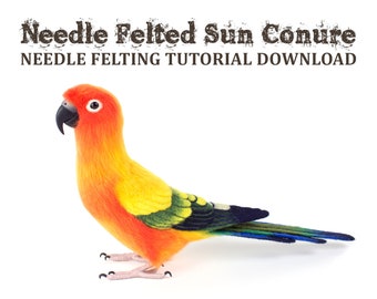 Needle Felting Tutorial Download: Sun Conure