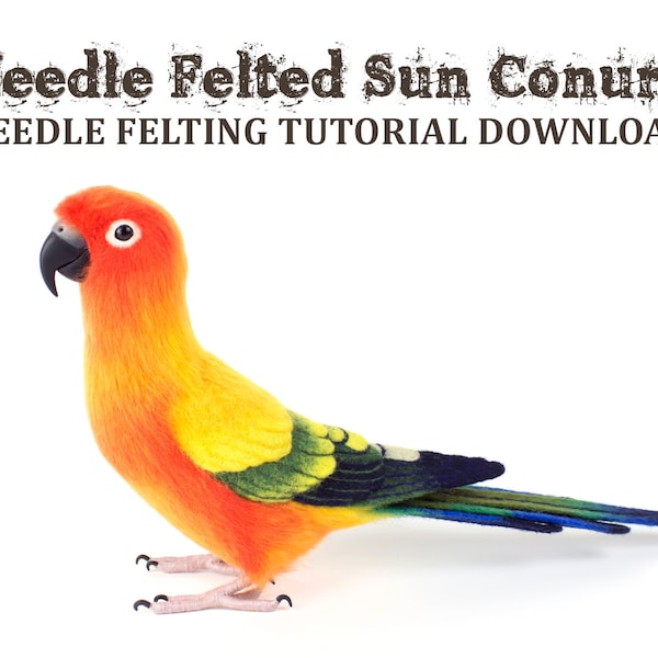 Needle Felting Tutorial Download: Sun Conure