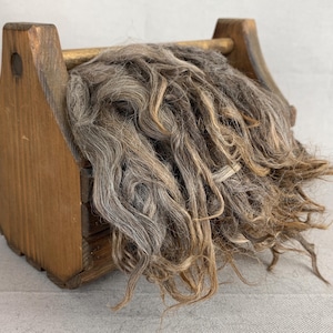 1 oz Washed Rose Gray Suri Alpaca Locks (AB 2) Fiber for Felting, Spinning or Doll Hair