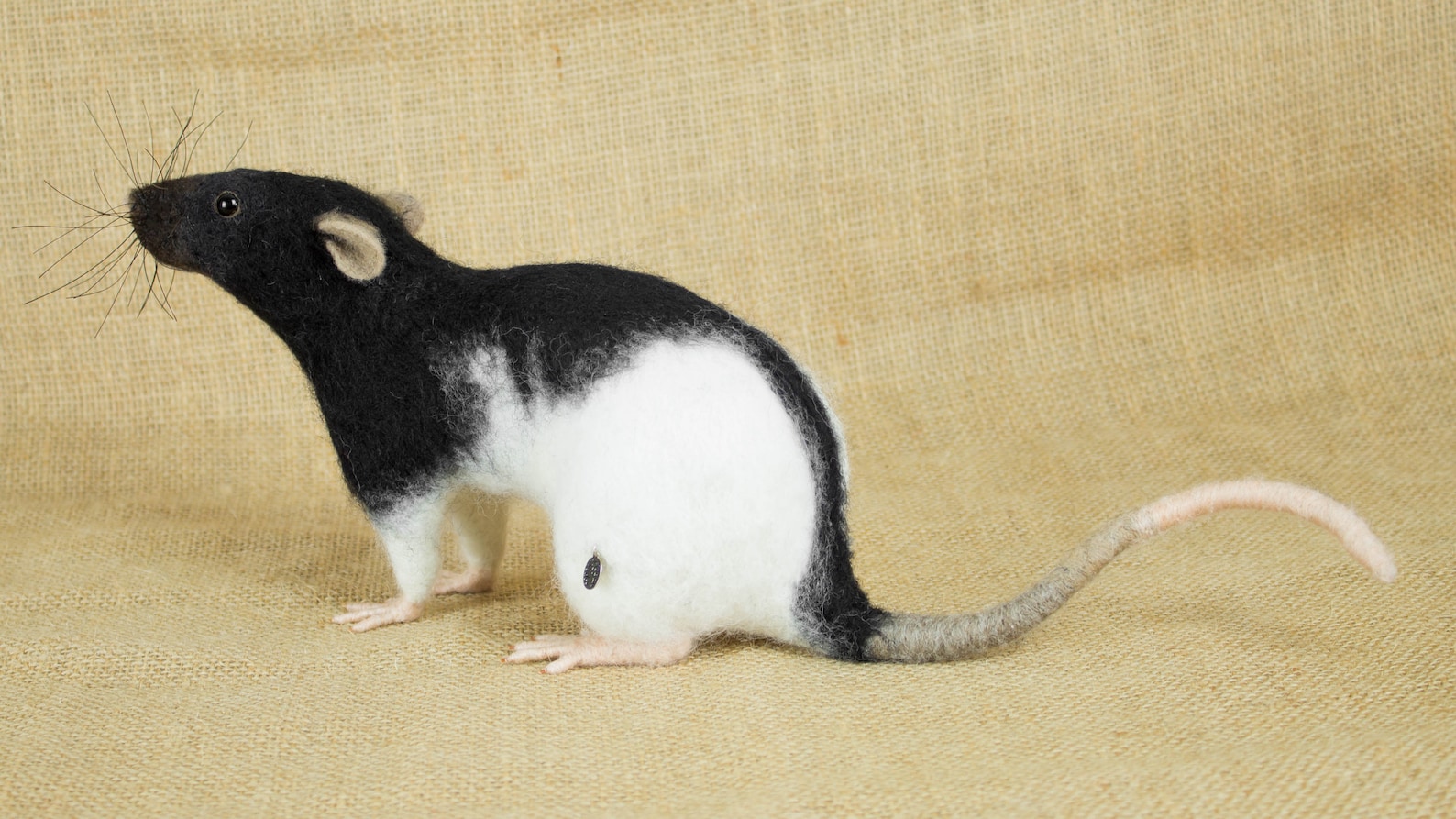 Made to Order Needle Felted Rat Custom needle felted animal Etsy